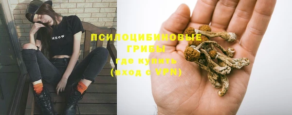 СК Михайлов