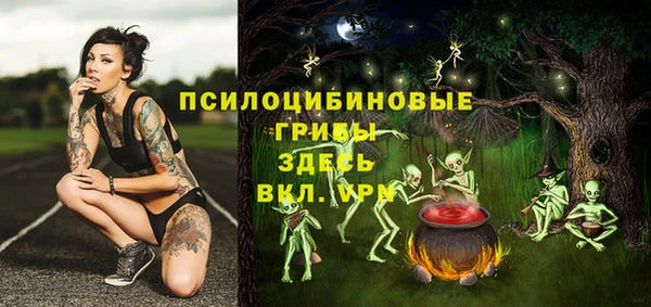 прущие грибы Михайловка