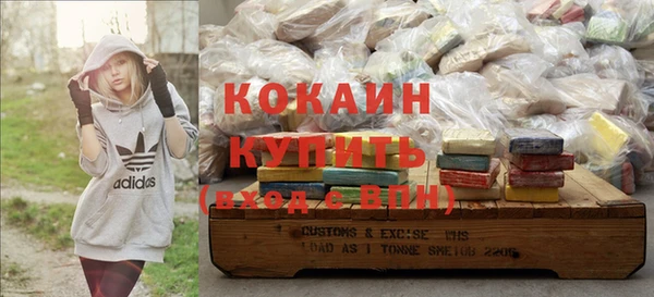 прущие грибы Михайловка