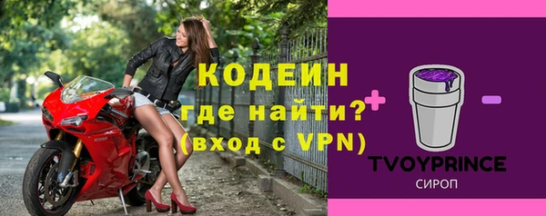 прущие грибы Михайловка