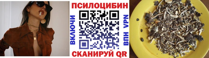 Псилоцибиновые грибы Cubensis  Белебей 